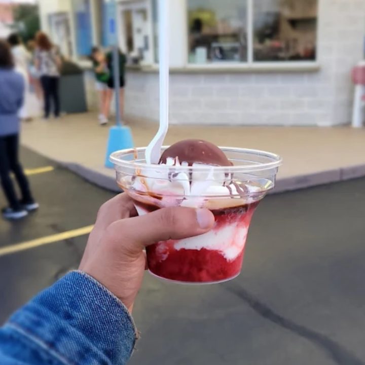 ice-cream-mundelein-il-10