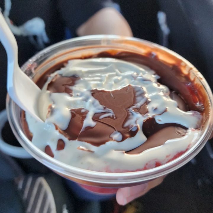 ice-cream-mundelein-il-15